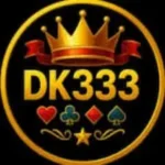DK333 game
